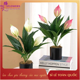 Hoa lan ý trang trí cao 50cm 3 nhánh - hoa lan ý giả cao cấp làm lọ hoa để bàn trang trí phòng khách