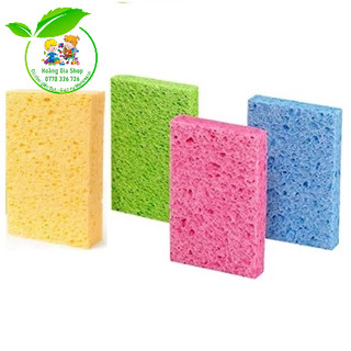 Bọt biển Cellulose Sponges