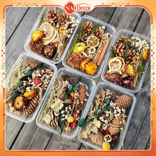 Set hộp hoa khô, cỏ khô, hoa lá, hạt thông, trái cây khô trang trí, chụp ảnh sản phẩm