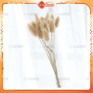 Cỏ đuôi thỏ (1 bó) – Phụ kiện trang trí chụp ảnh