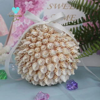 Vỏ ốc hương làm đồ handmade ,vỏ ốc mượn hồn đã được đục lỗ sẵn