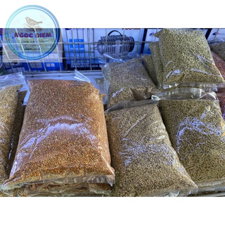 Hạt Kê Vàng Lớn - Gói 500g