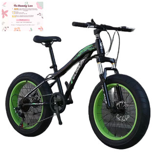Xe đạp bánh béo sz 20 - oder