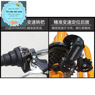 Xe đạp bánh béo 3 bánh oder