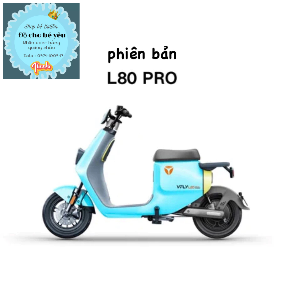 Xe điện VFLY L100 max, L80pro