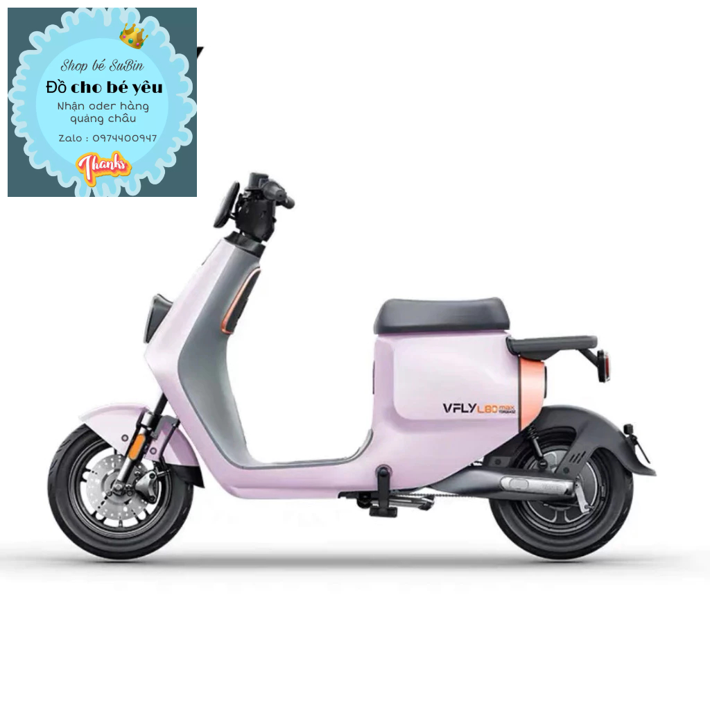 Xe điện VFLY L100 max, L80pro