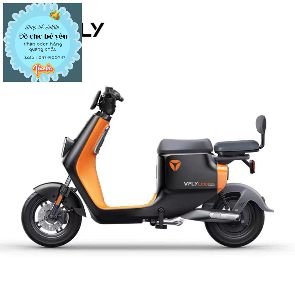 Xe điện VFLY L100 max, L80pro