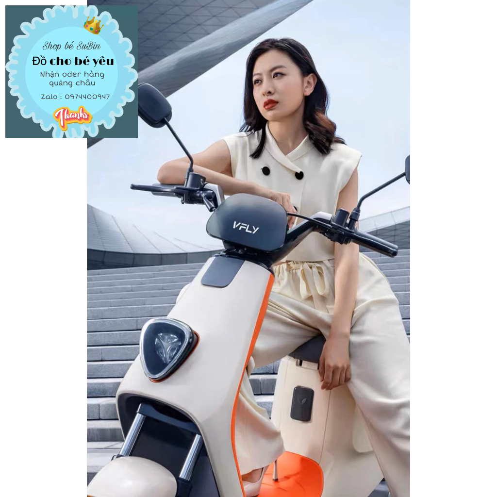 Xe điện VFLY L100 max, L80pro