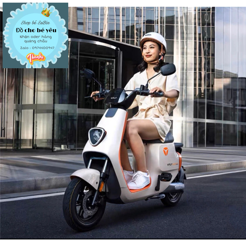 Xe điện VFLY L100 max, L80pro