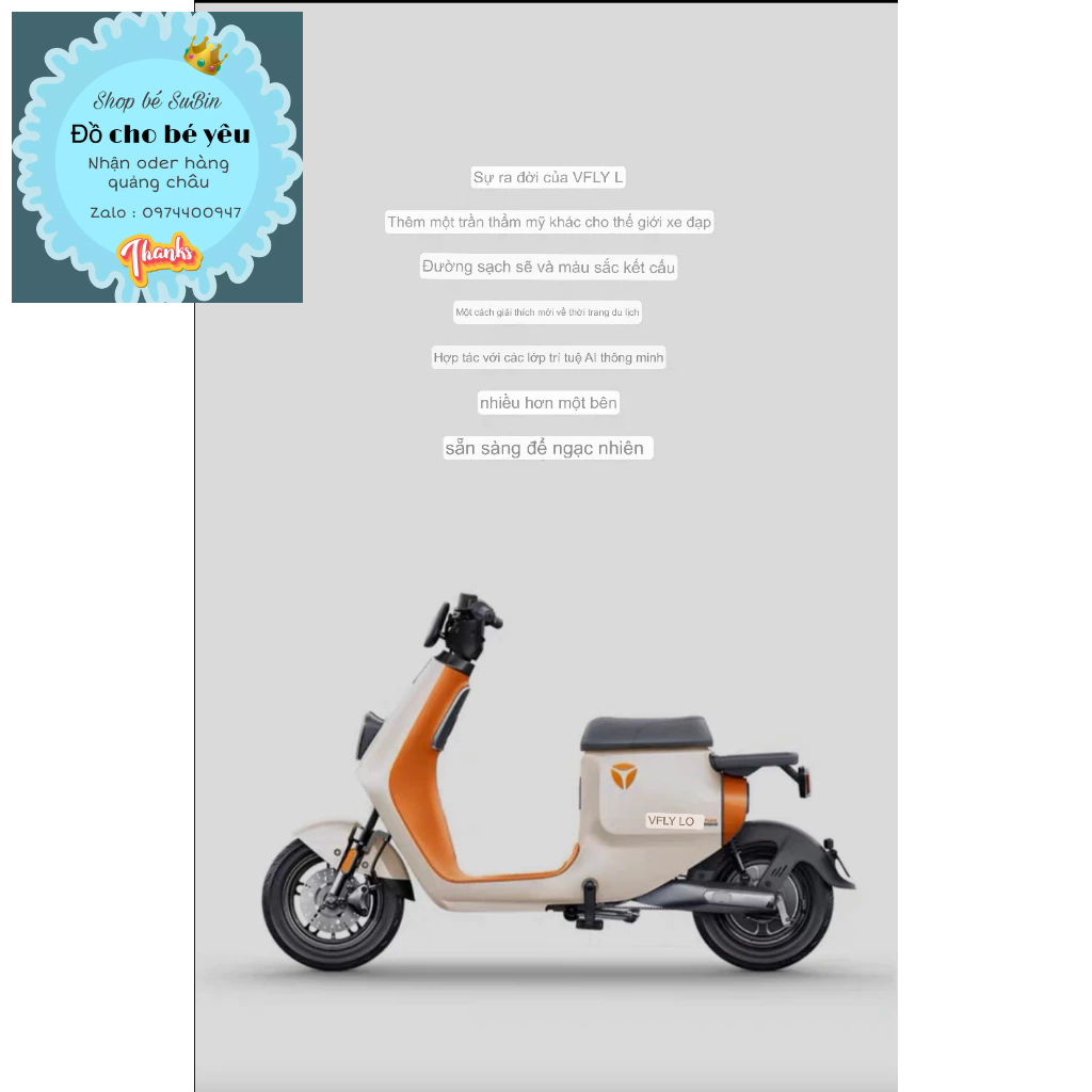 Xe điện VFLY L100 max, L80pro