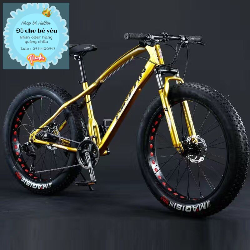 Xe đạp thể thao 26icnh