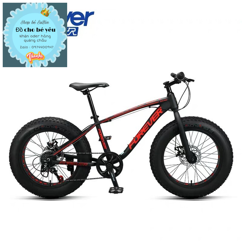 Xe đạp thể thao năng động cá tính cho bé s 20