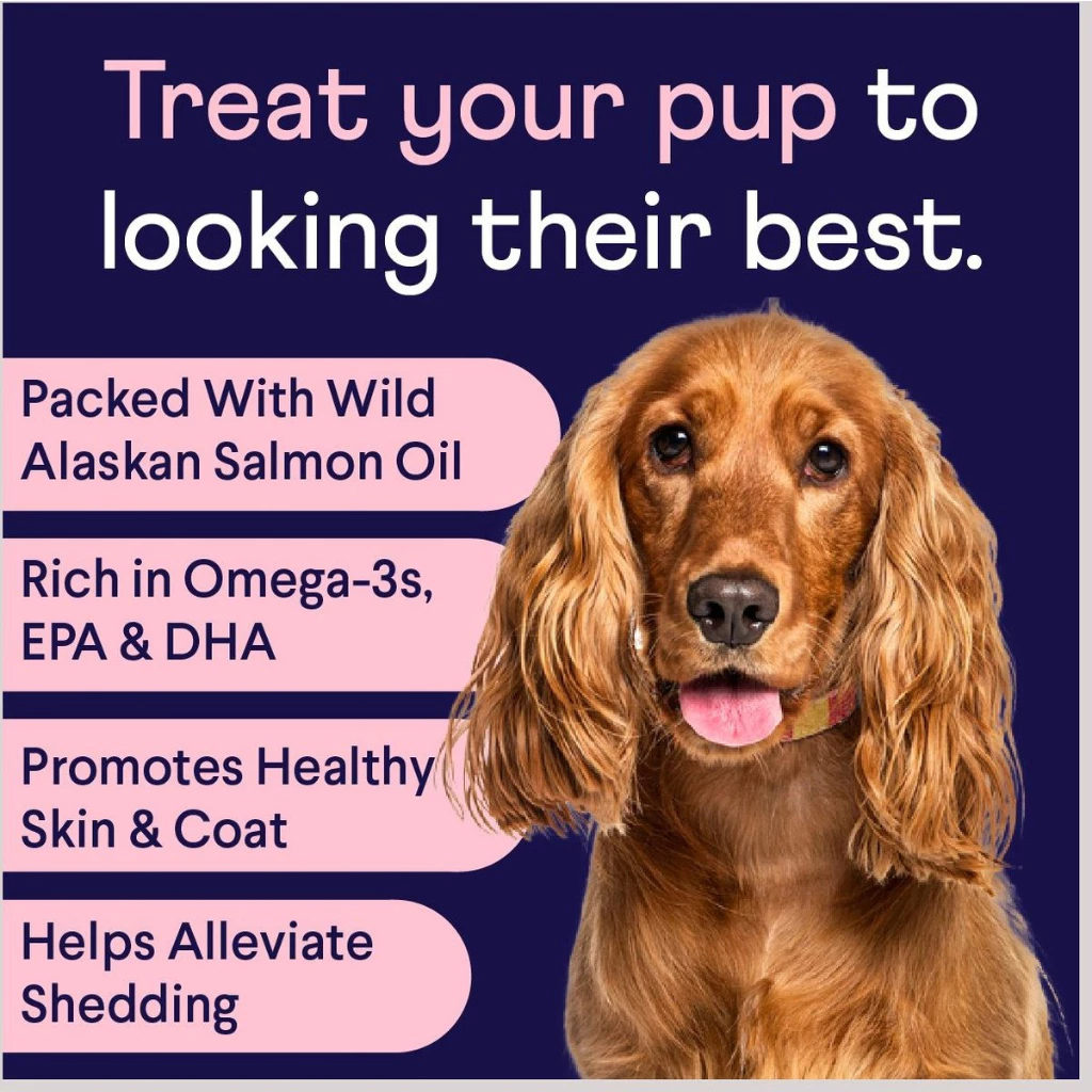 Viên Bổ Nhai Mềm Cải Thiện Da Lông Cho Chó, Finn Skin and Coat, Lông Dày Sáng Bóng, Từ Cá Hồi Alaska, EPA, DHA, Biotin