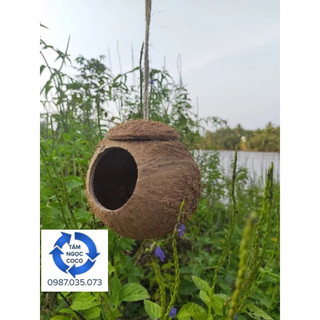 Tổ chim, thú cưng bằng gáo dừa