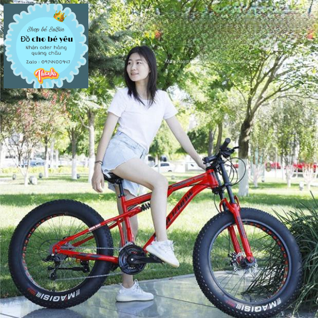Xe đạp thể thao bánh to 26icnh