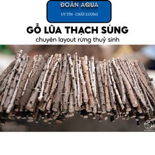 Lũa gỗ thạch sùng | lũa setup layout rừng tự nhiên cho bể thủy sinh