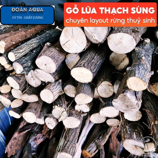 Lũa Gỗ Thạch Sùng (1kg) | Lũa Setup Layout Rừng Tự Nhiên Cho Bể Thủy Sinh