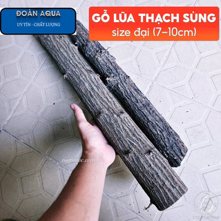 Lũa Gỗ Thạch Sùng (1kg) | Lũa Setup Layout Rừng Tự Nhiên Cho Bể Thủy Sinh