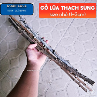 Lũa Gỗ Thạch Sùng (1kg) | Lũa Setup Layout Rừng Tự Nhiên Cho Bể Thủy Sinh