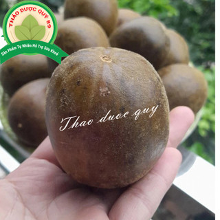 Combo 5 quả la hán khô tự nhiên to già, cùi đầy chắc thơm, nước la hán uống thanh nhiệt, COMBOLAHAN
