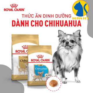 Hạt cho chó ROYAL CANIN CHIHUAHUA sản phẩm dinh dưỡng dành riêng cho giống chó Chihuahua, Phốc