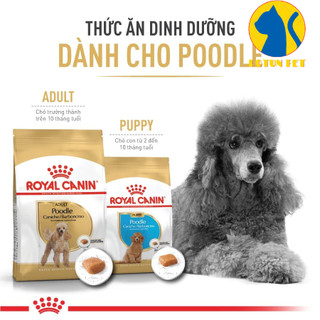 Hạt cho chó Poodle ROYAL CANIN, Thức ăn hạt khô cho chó Poodle mọi lứa tuổi