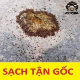 Thuốc diệt kiến gián mối và côn trùng