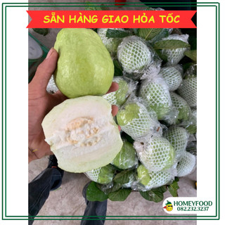Ổi tươi giòn, ngọt - 1kg