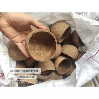 Gáo dừa thô nhỏ được làm sạch xơ