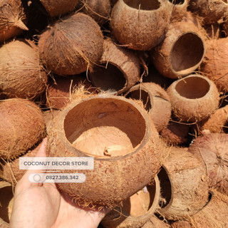 Gáo dừa thô nguyên liệu - Gáo múm | Gáo cắt cao