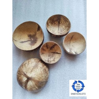 Chén bát gáo dừa gáo trắng tự nhiên