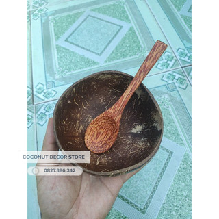 [Giá Sỉ] - Combo Chén Gáo Dừa + Muỗng Gỗ Dừa