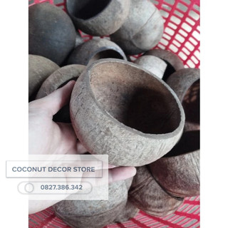 Gáo dừa thô được làm sạch xơ size lớn