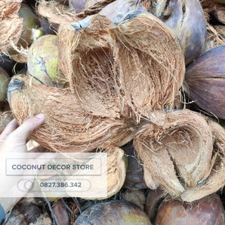 VỎ DỪA KHÔ ĐA DỤNG 10 CÁI