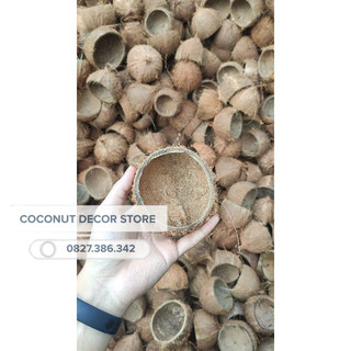 Gáo dừa nhỏ