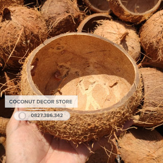 Gáo dừa thô nguyên liệu - Gáo cắt đôi | Gáo gà