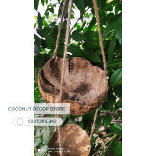 Chậu trồng cây gáo dừa hình cánh hoa