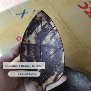 Dĩa xà bông gáo dừa