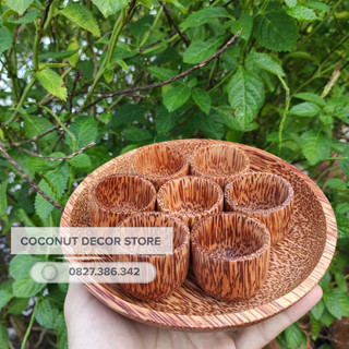 Bộ khay chén rượu