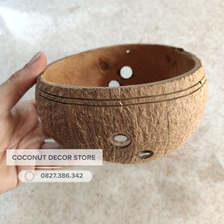 Gáo Dừa Trồng Lan rẻ đẹp bền chất