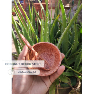 [Combo] - Chén gỗ dừa + Muỗng gỗ dừa