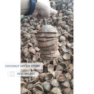 Dây 10 miếng gáo đầu quả dừa