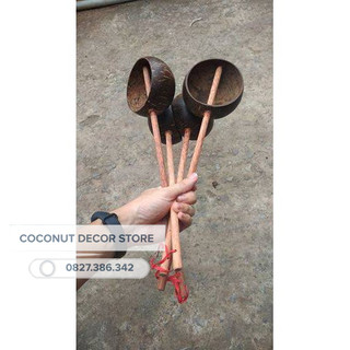 Gáo dừa múc nước to - 5 cái khuyến mãi
