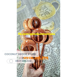 Gáo dừa múc rượu - Bộ 10 cái tròn