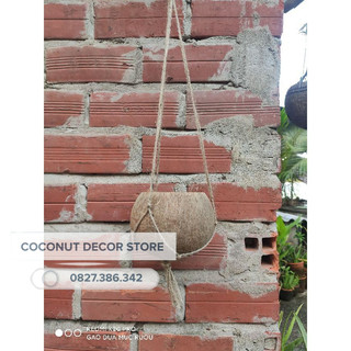 Chậu gáo dừa dây cối treo | Chậu trồng cây 6 dây treo