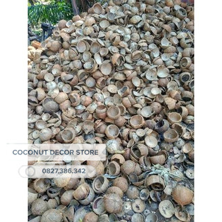 Gáo dừa đốt than