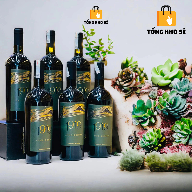 Rượu Vang Nhập Khẩu, Rượu Vang Đỏ Hảo Hạng Ý 1919 Anno Domini 750ml 19%