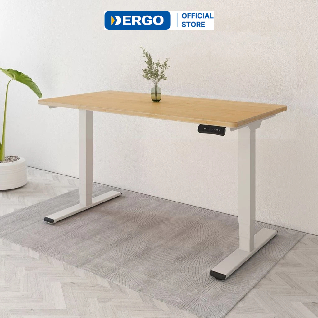 Bàn Làm Việc Đứng DERGO Flexispot (Premium - 3 Stages) - EC5