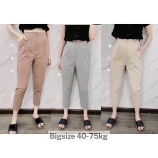 Quần Baggy Đũi Hàn Quốc ) Quần Đũi Hàn Nữ( Lụa Cao Cấp)-mã baggy đũi