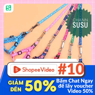 Dây dắt vòng cổ - dây dắt chó mèo dây lưng